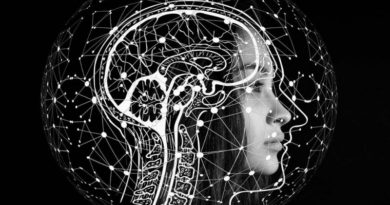 Estudio reconoce que el heavy metal produce mejor respuesta cerebral que la música clásica