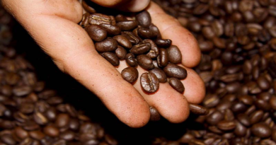 ¿El café ayuda a cicatrizar las heridas? Esto dicen los expertos