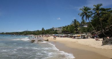 Acreditados prestadores de servicios turísticos de Miranda