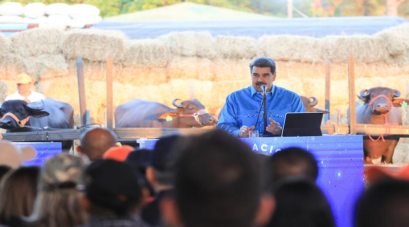 Mandatario nacional: «Venezuela está renaciendo con una nueva economía productiva»