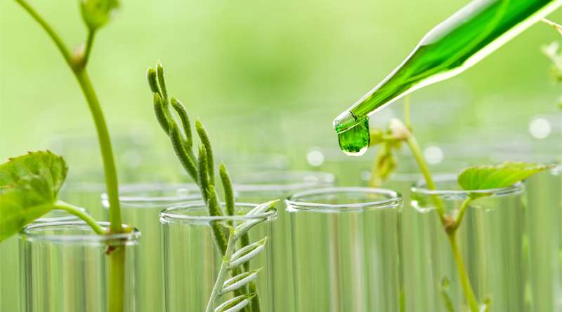 Desarrollarán proyecto basado en la Química verde para combatir enfermedades en cultivos