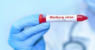 Ocho nuevos casos del virus de Marburgo, confirma la OMS en Guinea Ecuatorial