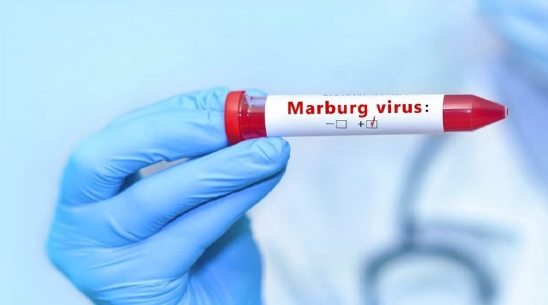 Ocho nuevos casos del virus de Marburgo, confirma la OMS en Guinea Ecuatorial