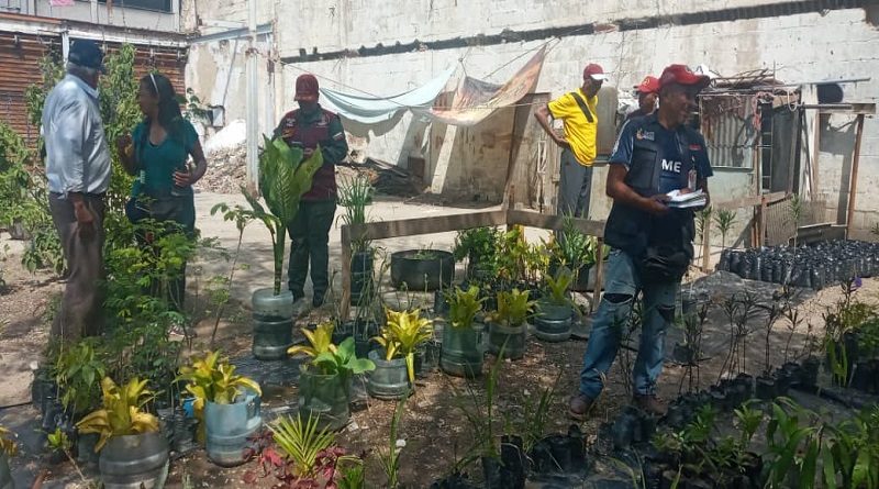 Inspeccionan espacios de Caracas para fortalecer la producción agroalimentaria