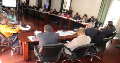 Comisión de Energía y Petróleo de la AN se reunió con delegación de África Austral
