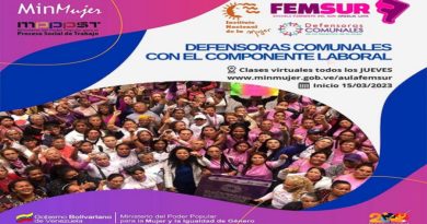 Curso virtual Defensoras Comunales Laborales dará inicio este 15 de marzo
