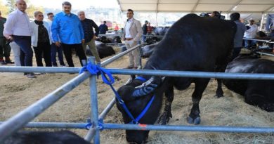 Miranda destaca capacidad logística para exportación de carne de búfalo