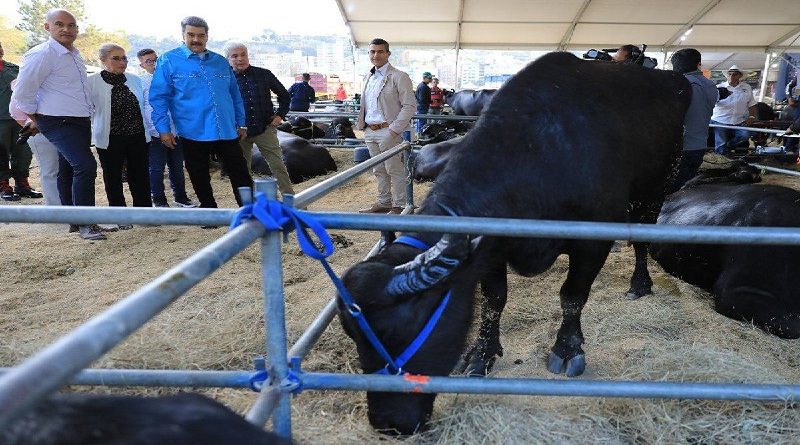 Miranda destaca capacidad logística para exportación de carne de búfalo