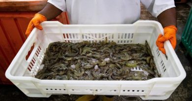 Reinauguran planta procesadora de productos marinos Inpromar en el estado Zulia
