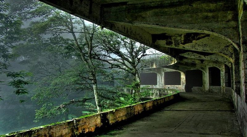 Estación Biológica de Campo Rancho Grande es un paraíso de las aves