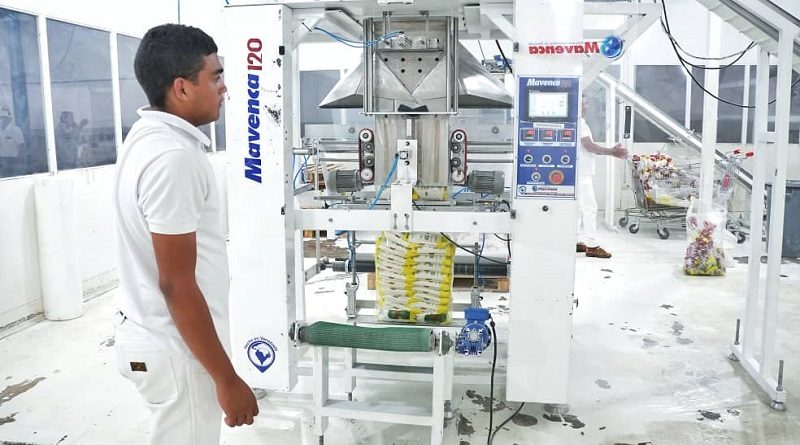Ampliarán capacidad industrial de procesado de Harina de Maíz Precocida en Guárico