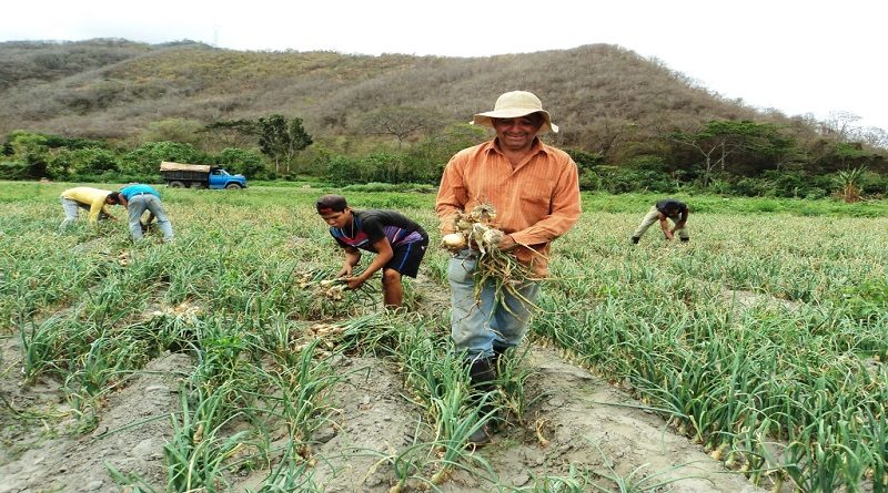 Inauguran Centro de Producción y Formación Socialista «Prudencio Vásquez» en Yaracuy