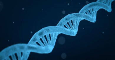 ADN de virus antiguos puede ayudar a combatir el cáncer