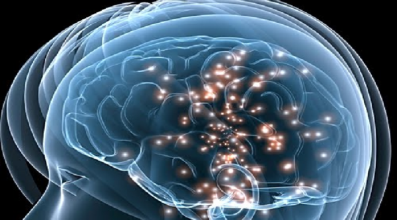 Desarrollan estudio para conocer desarrollo del cerebro durante la adolescencia