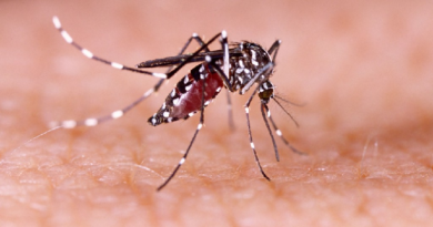 Continúan operativos para la prevención del dengue y la malaria en Apure y Bolívar