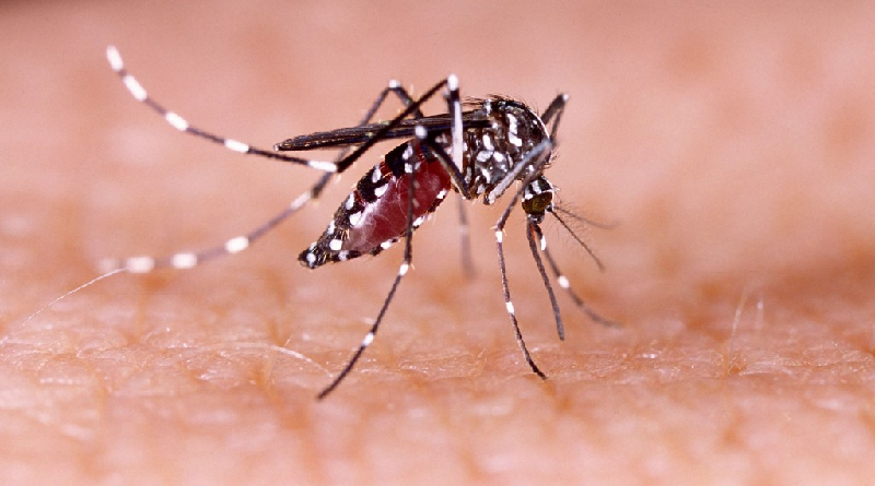 Continúan operativos para la prevención del dengue y la malaria en Apure y Bolívar