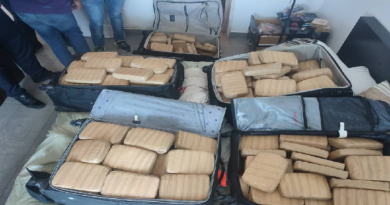 Incautan droga en urbanización Playa el Ángel del estado Nueva Esparta