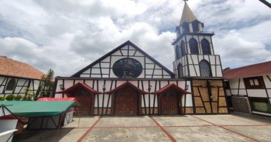 Colonia Tovar celebra 180 años de fundación
