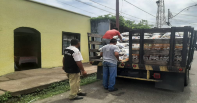 Más de siete toneladas de rubros alimenticios fueron destinados a población de Delta Amacuro