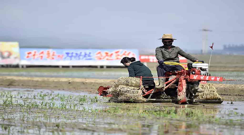 Avanza modernización de la agricultura en República Popular Democrática de Corea