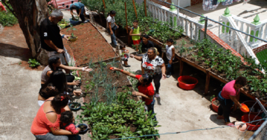 Realizan taller agrourbano “Pablo Characo” en municipio Simón Bolívar de Miranda