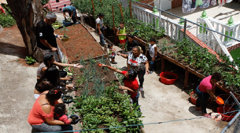 Realizan taller agrourbano “Pablo Characo” en municipio Simón Bolívar de Miranda