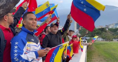 Cabello: Unión cívico militar es escudo para la defensa de la paz