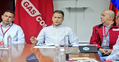 Afinan detalles para mantener planes de distribución de Gas Comunal en el país