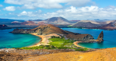 Islas Galápagos inauguran tecnología para prevenir ingreso de especies invasoras