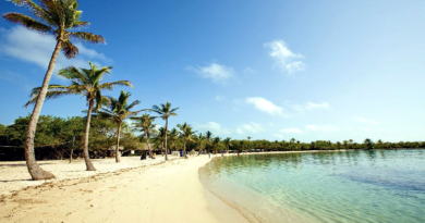 Garantizan plan de regulación en permisología de los operadores turísticos en Morrocoy