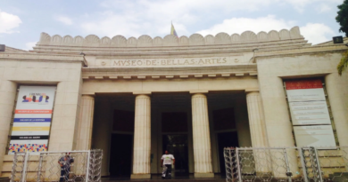 Museo de Bellas Artes presentará obra “Entrañas de Rosangel León