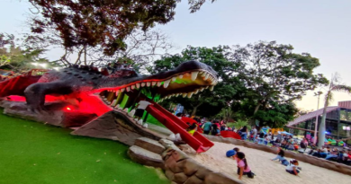 Niños disfrutan de las atracciones del parque «Drácula Kids»