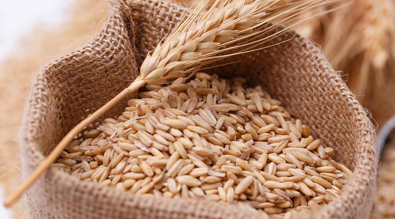 Polonia y Hungría prohíben importación de productos agrícolas de Ucrania hasta el 30 de junio