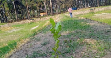 Realizan jornada de reforestación de 20 especies de árboles frutales en Barinas