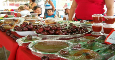 Realizan preparativos para la Feria de la ciruela en Capachal estado Anzoátegui