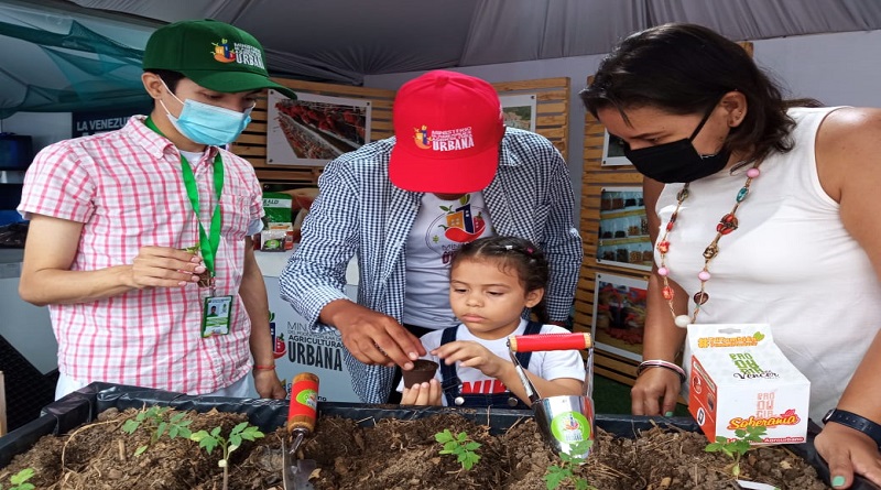 Brindan asesoramiento técnico a potenciales agrourbanos en Expo Gobierno 2023