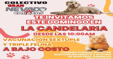 Efectuaran Jornada de Atención Veterinaria en Caracas