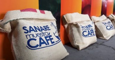 Venezuela alcanza producción de más de un millón 900 mil quintales de café