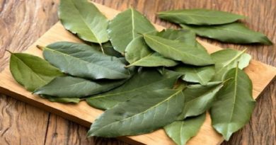 Beneficios medicinales del Laurel