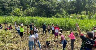 Desarrollan jornada de reforestación en parque nacional Henri Pittier