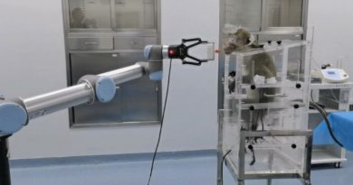 China logra conectar una computadora al cerebro de un mono
