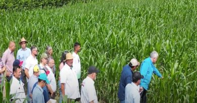 Experiencia de alta densidad y rendimiento agrícola se muestra en Trujillo