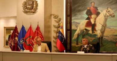 Venezuela y Colombia construyen mapa integral de cooperación en defensa de ambos pueblos