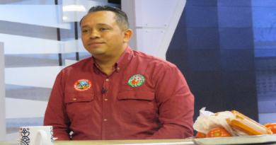 Comuna Fe Socialista del 23 de Enero cuenta con 12 mil plantas de tomate