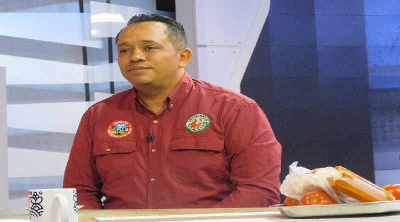 Comuna Fe Socialista del 23 de Enero cuenta con 12 mil plantas de tomate