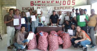 Establecen Núcleo de productores de papa variedad María Bonita en Falcón