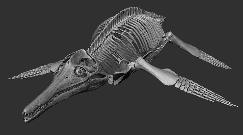 Estudian anatomía y comportamiento de pliosaurio mediante un escáner 3D