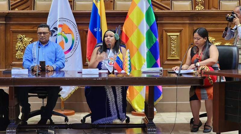 Realizan sesión especial para conmemorar Día de la Afrovenezolanidad