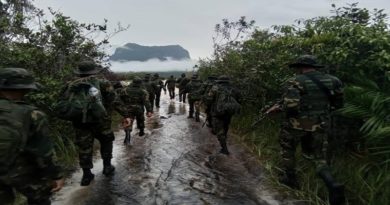 FANB despliega funcionarios para conservar el orden ambiental del Parque Nacional Yapacana