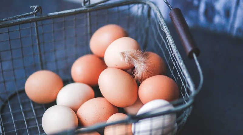 Estudio plantea que huevos modificados genéticamente podrían acabar con alergia alimentaria